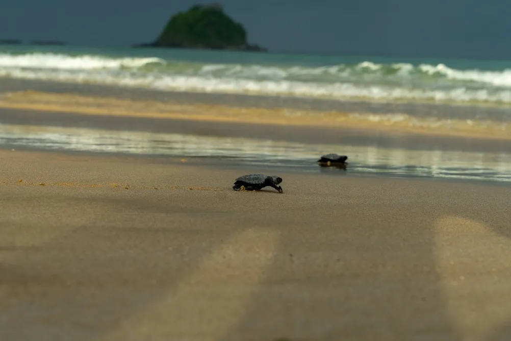 Marine Protection Resources